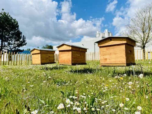 Une stratégie bas carbone et biodiversité pour contribuer au respect de la planète 