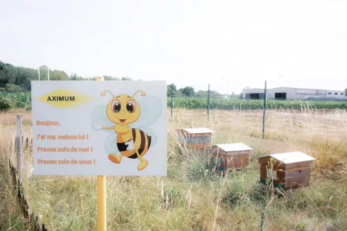 Réduire les impacts environnementaux chez Aximum