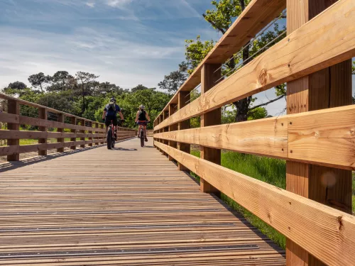 Cyclistes circulant sur ponton en bois