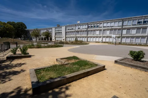 Cours d'école avec des revêtements clairs au sol