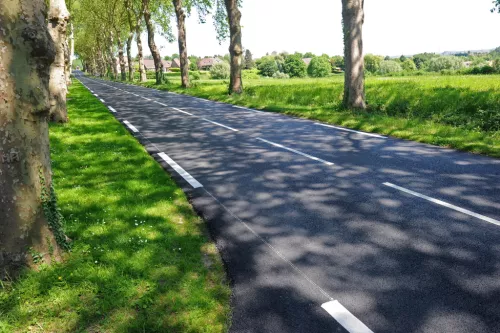 Route au milieu des arbres