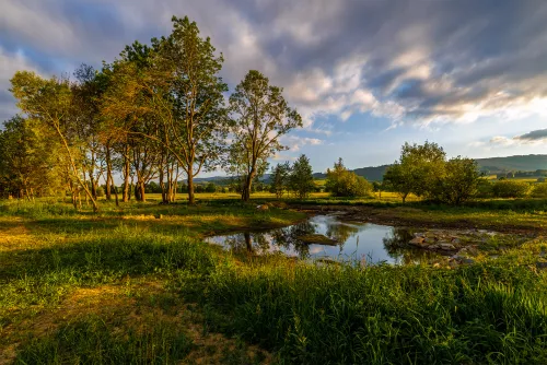 ACV analyse du cycle de vie et réduction des impacts environnementaux